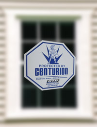 NEW! RTD-X4Y - 3 Single Decals - Centurion Security Alarms-91