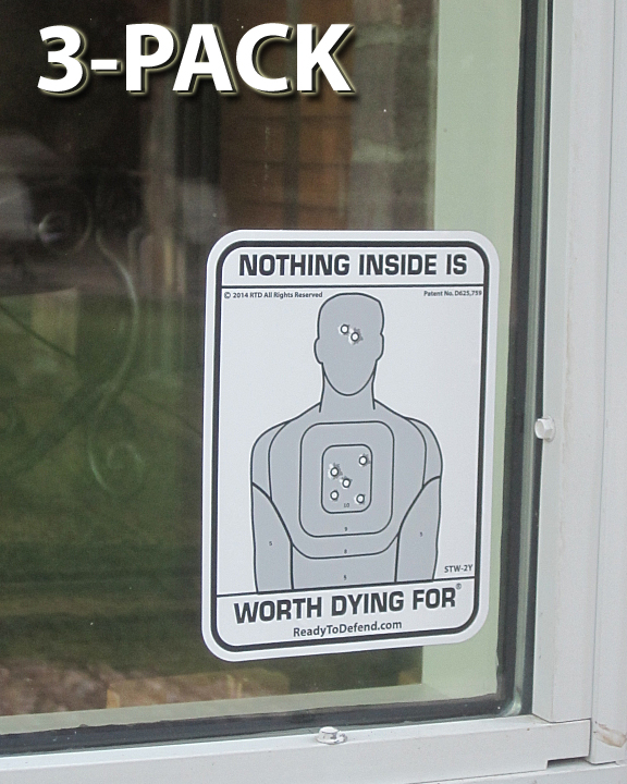 NEW! STW-2Y - 3-Pack of Single Decals - Nothing Inside Worth Dying For-0